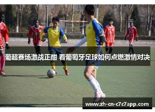 葡超赛场激战正酣 看葡萄牙足球如何点燃激情对决